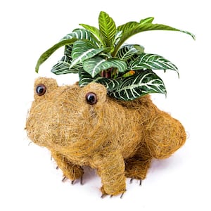 Coco (Jute) Animal Planter - Frog
