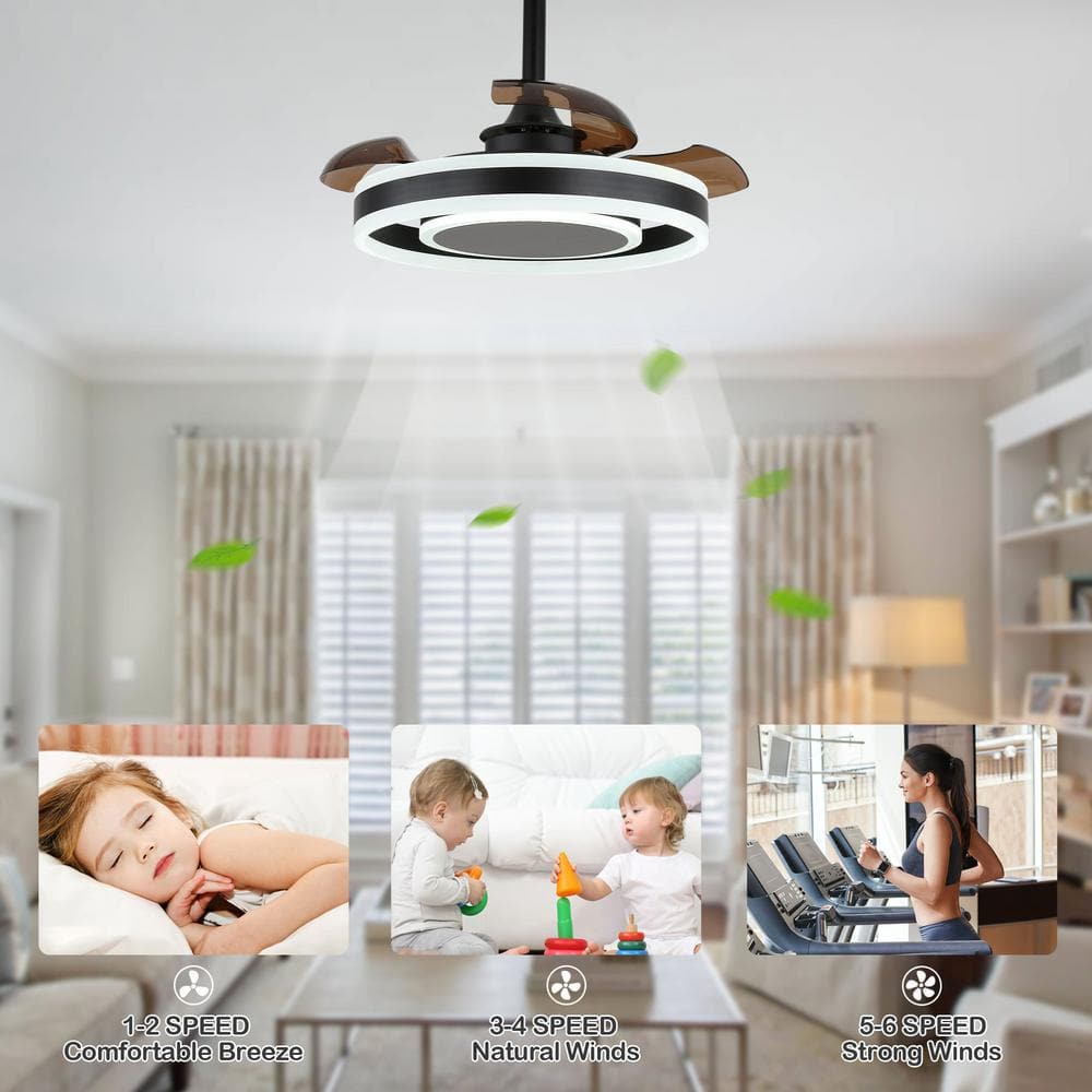 22-Inch Black Modern Ceiling Fan with Clear Blades and LED Light