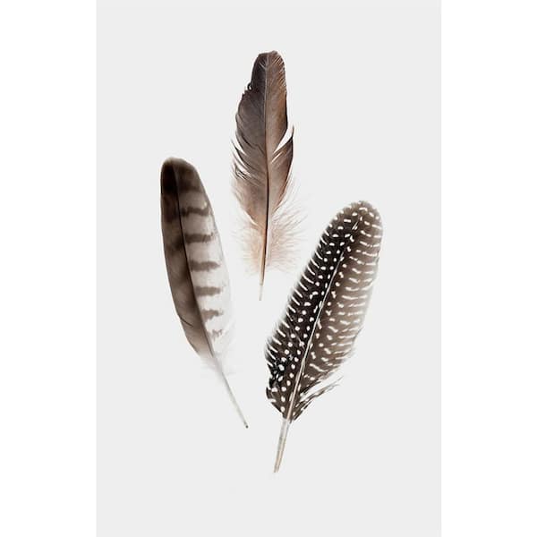 Giant Art 54 in. x 84 in. "Feathers I" by PI Studio Wall Art