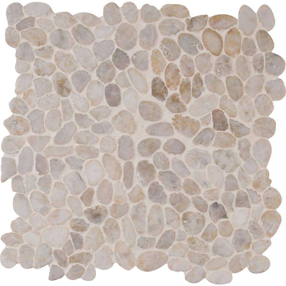 Take Home Tile Sample - Dorado River Rock 4 in. x 4 in. Tumbled Marble Mosaic Tile price history on PriceWatchPro