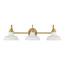 https://images.thdstatic.com/productImages/e3fc7023-9246-4ef7-a60a-916433108217/svn/brushed-gold-hampton-bay-vanity-lighting-hb3672-338-64_65.jpg