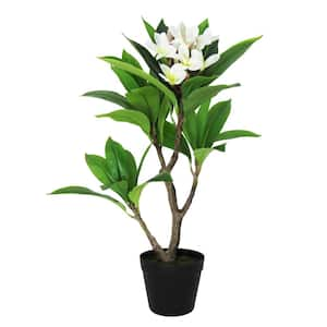 2.25 ft. Real Touch Cream White Artificial Plumeria Tree Tropical Plant in Pot