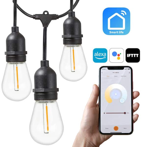 Newhouse Lighting Outdoor 48 ft. Plug-In Edison Bulb LED Smart App-Enabled String Light, Dimmable, E26,2700K, 16-Light Bulbs Included