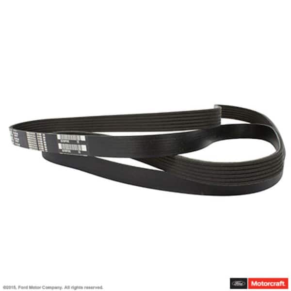Motorcraft Serpentine Belt