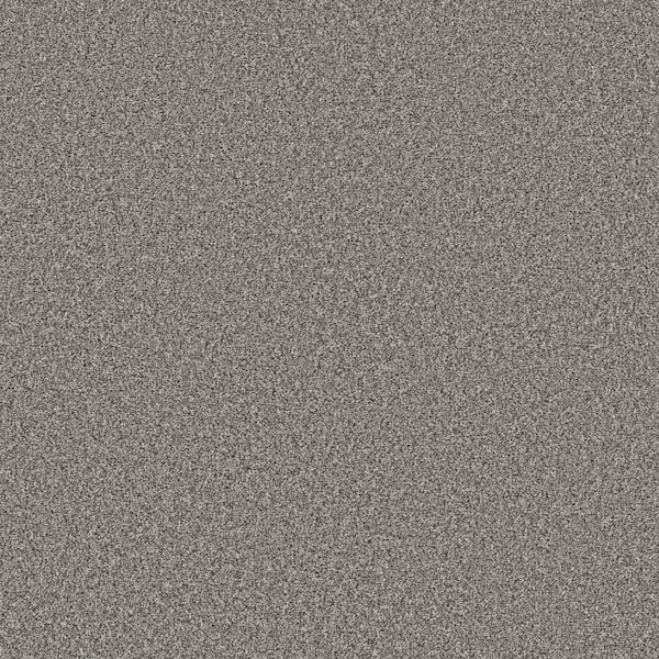Home Decorators Collection Piece Of Cake Foggy Night Gray 33 oz. Solution Dyed Polyester Texture Installed Carpet