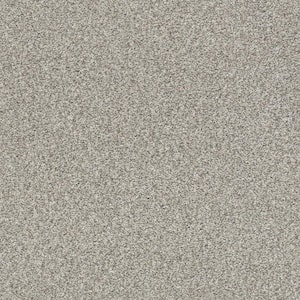 Karma I - Stucco - Brown 41.2 oz. Nylon Texture Installed Carpet