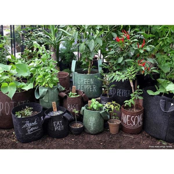 VEVOR Plant Grow Bag 200 gal. Aeration Fabric Pots with Handles Black Grow Bag Plant Container for Garden Planting (5-Pack)