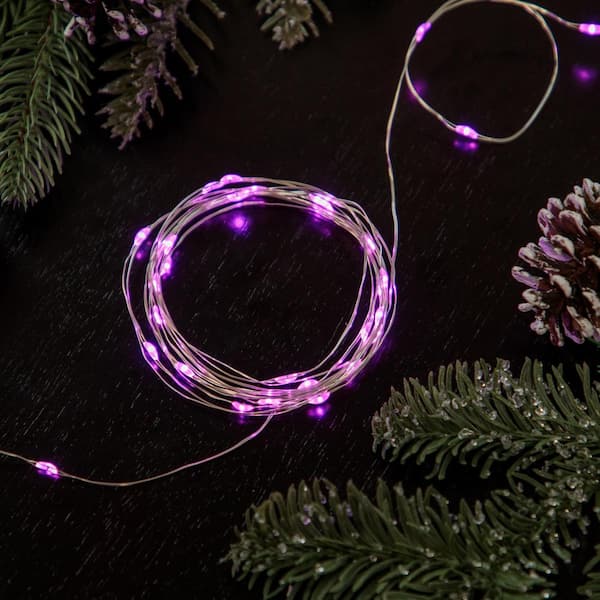 20-Count Pink LED Micro Fairy Lights-6 ft. Copper Wire