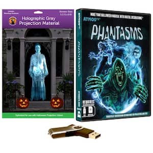 AtmosFX Phantasms I USB 5.5 ft. x 9 ft. L Gray Holographic