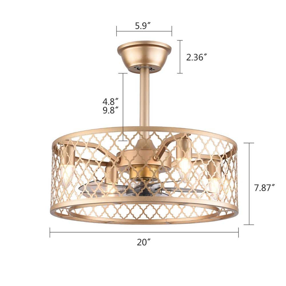 20-Inch Gold Metal Caged Ceiling Fan with Remote and Lighting