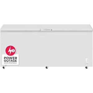 25 cu. ft. Convertible Garage Ready Manual Defrost Chest Freezer in White with Freeze Boost