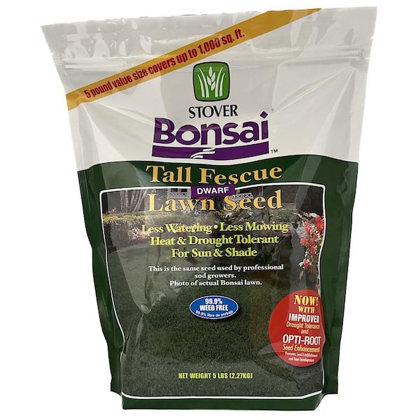 Stover Bonsai Dwarf Fescue Grass Seed