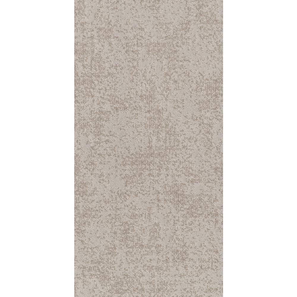 8 in. x 8 in. Pattern Carpet Sample - Elegant Dosinia - Color Stucco price history on PriceWatchPro