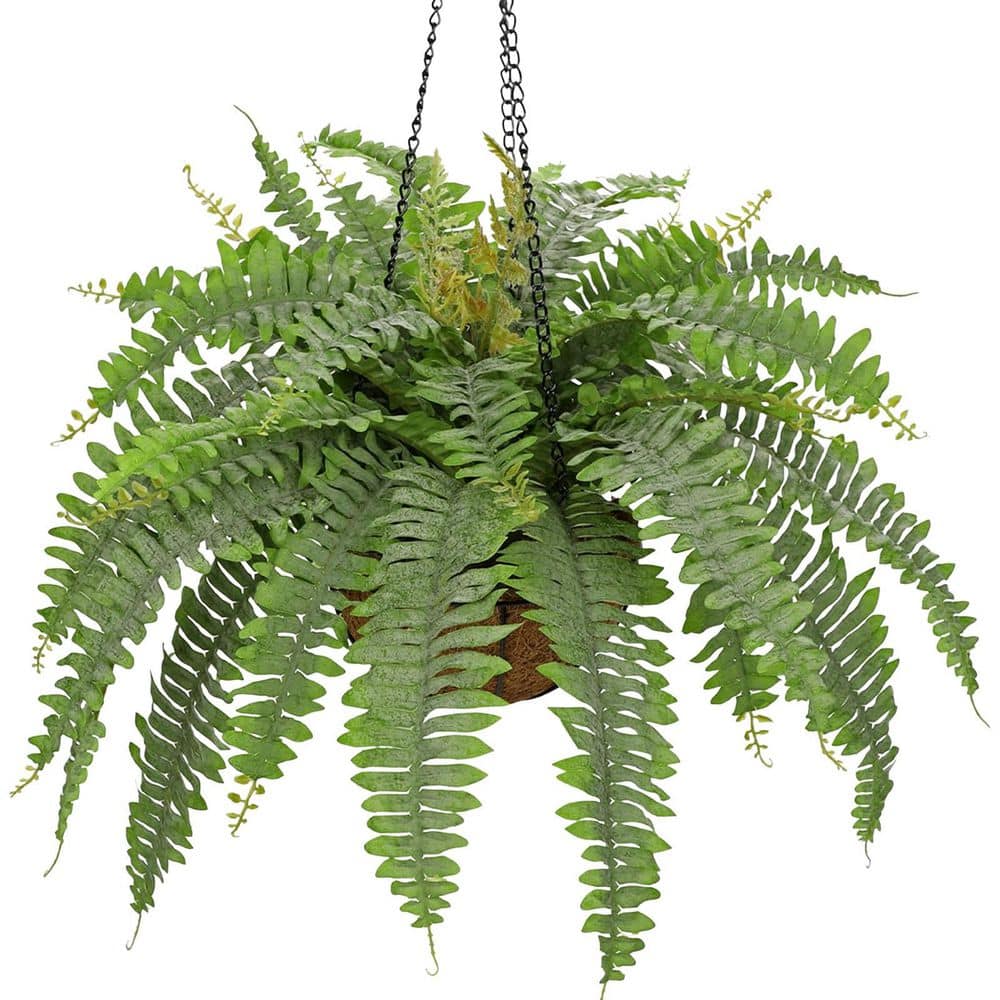 Vining Fern Afoxsos 5 in. Dusty Green Artificial Boston Fern Vine Hanging Plant ...