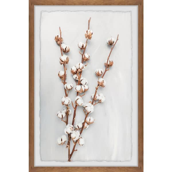 Unbranded "Cotton Plant" by Marmont Hill Framed Nature Art Print 18 in. x 12 in.