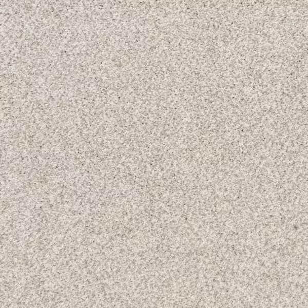 8 in. x 8 in. Texture Carpet Sample-Magalynn I-Color Morning Mist