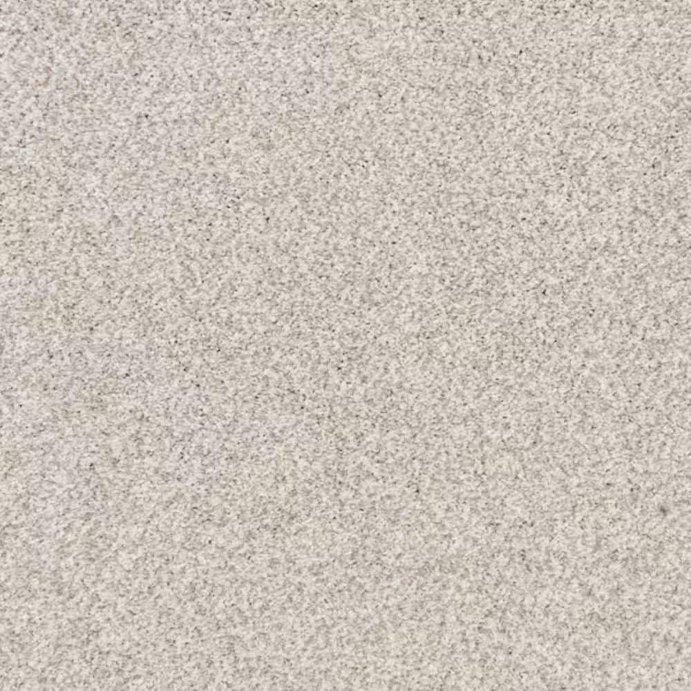 8 in. x 8 in. Texture Carpet Sample-Magalynn II-Color Morning Mist price history on PriceWatchPro