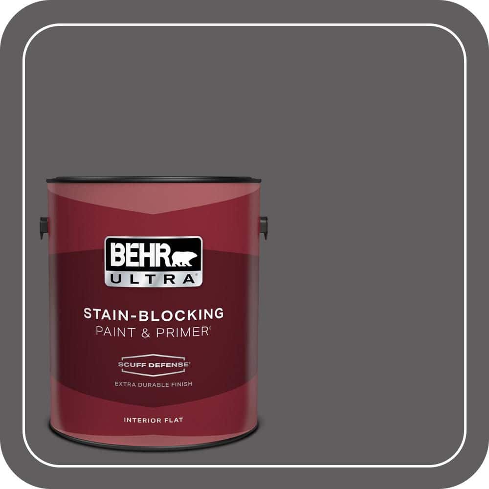 1 gal. #T17-10 Shades On Extra Durable Flat Interior Paint & Primer price history on PriceWatchPro