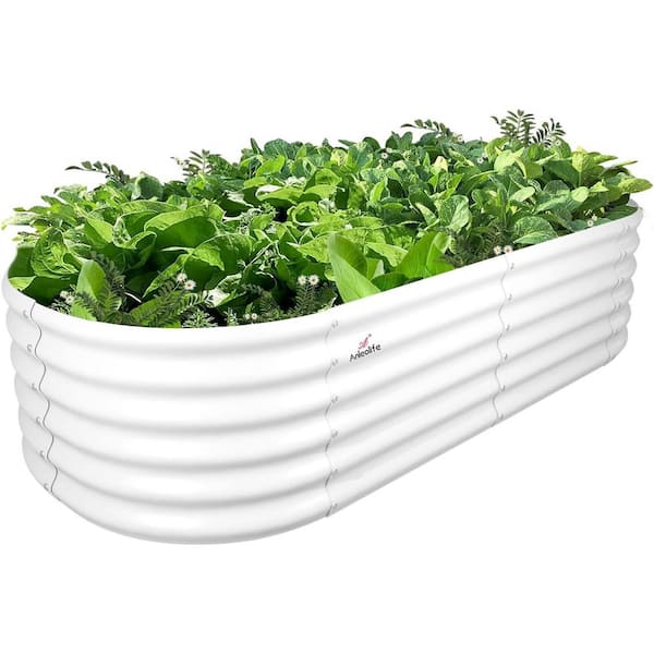 6 X 2 X 1.5 ft White Oval Round Metal Raised Garden Beds for Planting Vegetables Flowers Herb