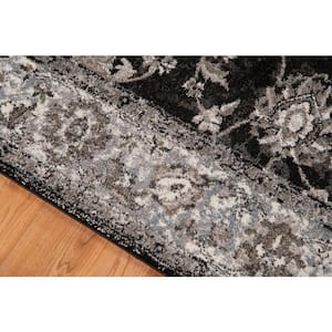 Alexandria 9 ft. X 12 ft. Black Border Area Rug