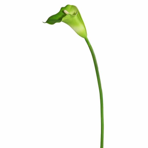 28 in. Artificial White and Green Large Stem Calla Lily