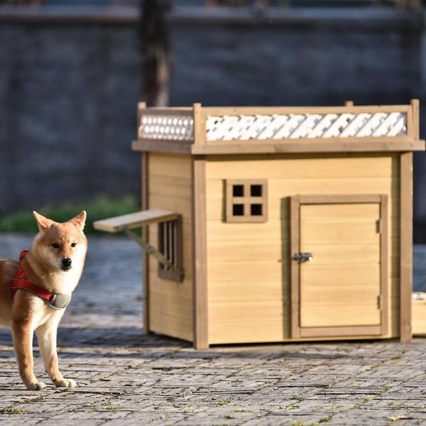 what is a dog house called