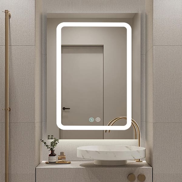 Staykiwi 20 in. W x 30 in. H Rectangular Aluminum Medicine Cabinet with Mirror