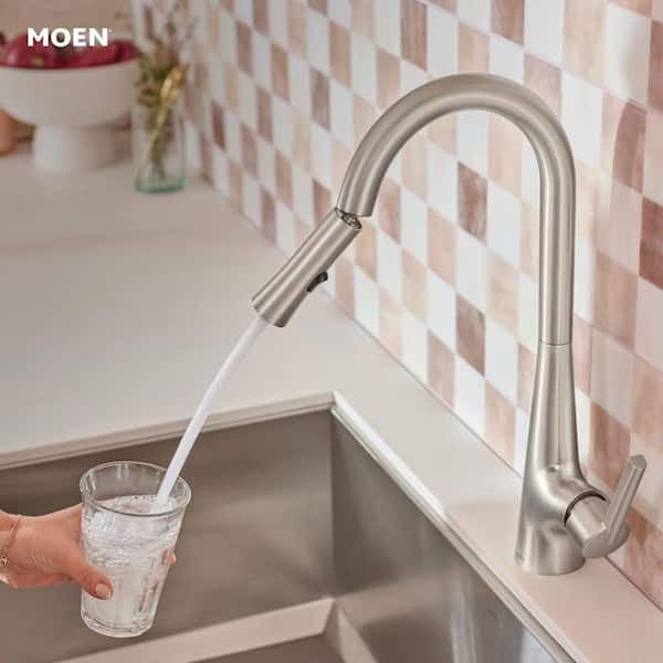 Ronan Spot Resist Stainless 17.08 in. H Pull Down Sprayer Kitchen Faucet with Swivel Control and 360° Spout Swivel