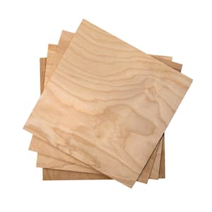 1/2 in. x 1 ft. x 1 ft. Birch Project Panel (4-Pack)