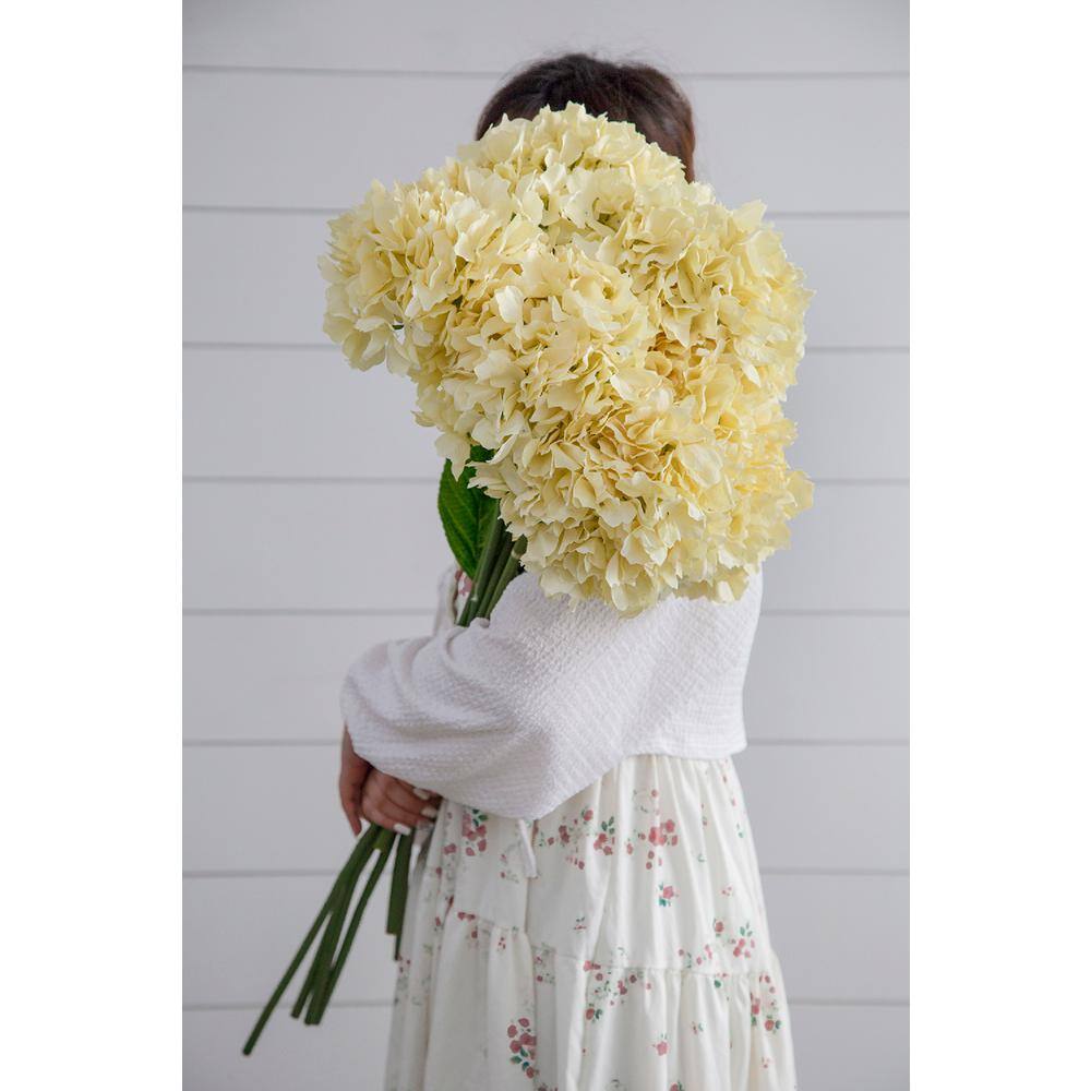 34" Cream Faux Hydrangea Stems with Leaves - Set of 12