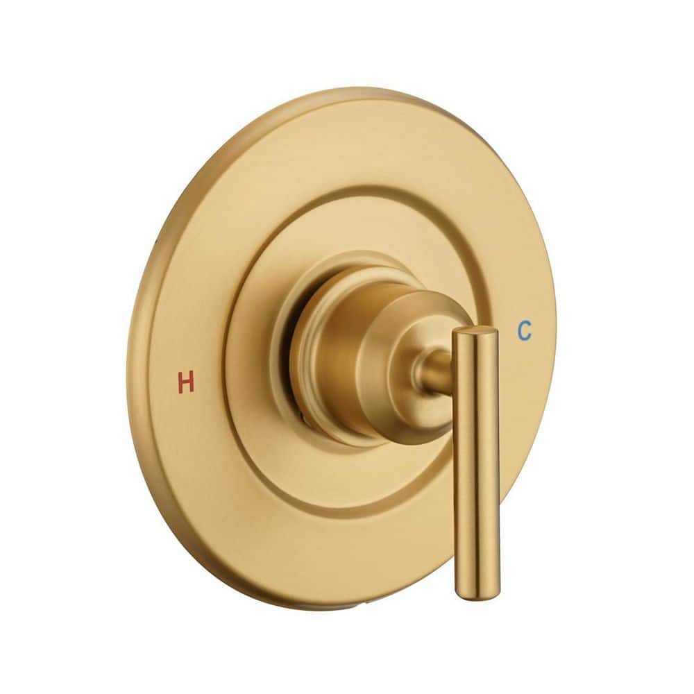 Replacement Shower Faucet Trim Kit with Volume and Temperature Control Lever Handle Fits Moen Gibson price history on PriceWatchPro