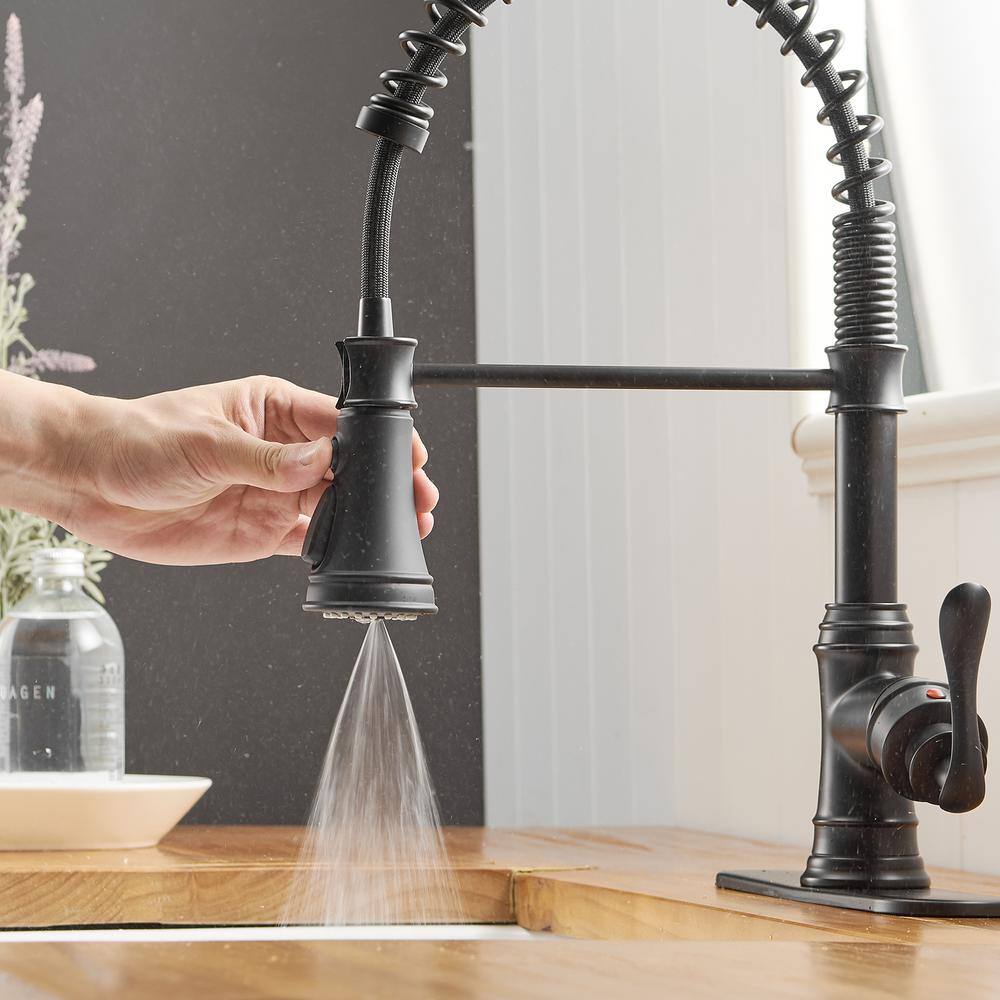 Matte Black Pull-Down Kitchen Faucet with Pull-out Spray