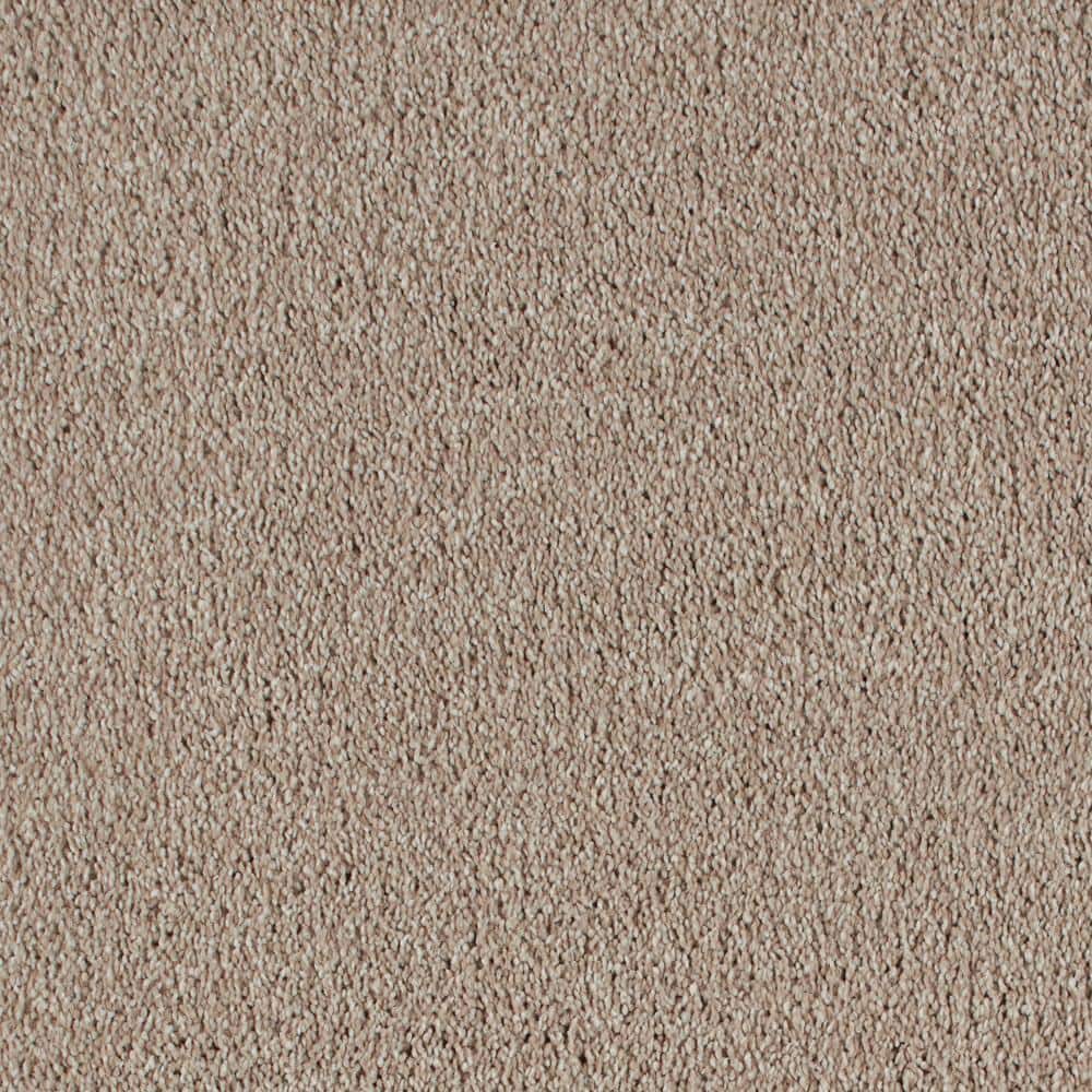 8 in. x 8 in. Texture Carpet Sample - Northern Hills II -Color Cabin price history on PriceWatchPro
