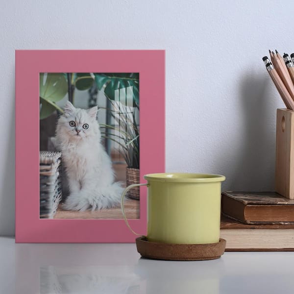 Modern 3.5 in. x 5 in. Hot Pink Picture Frame (Set of 2)