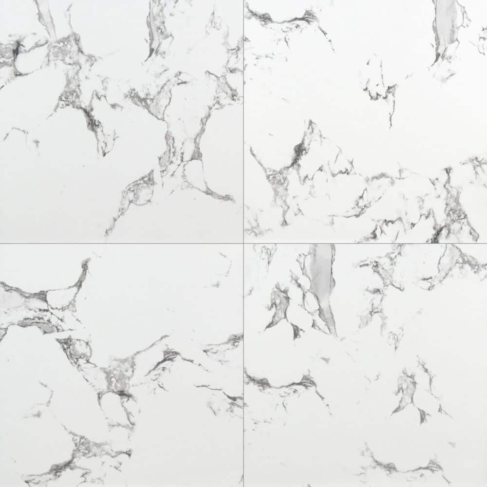 Petra Serena 24 in. x 24 in. Matte Porcelain Marble Look Floor and Wall Tile (16 sq.ft./Case) price history on PriceWatchPro