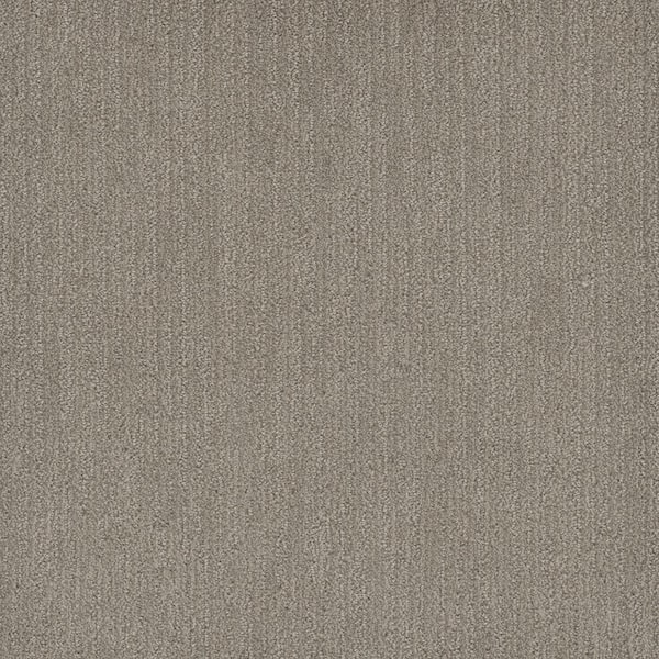 Home Decorators Collection Harlow - Otter - Beige 28 oz. SD Polyester Pattern Installed Carpet