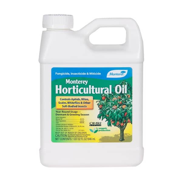 Monterey Horticultural Oil Quart Organic Concentrate for Outdoor Insect Control