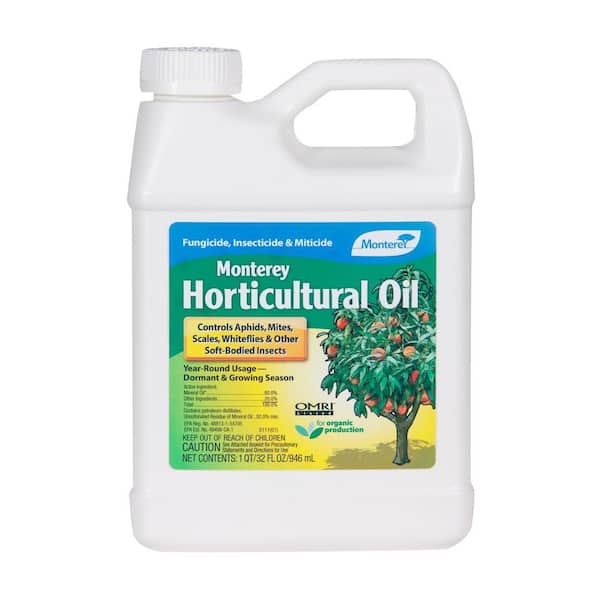 Horticultural Oil Quart Organic Concentrate for Outdoor Insect Control