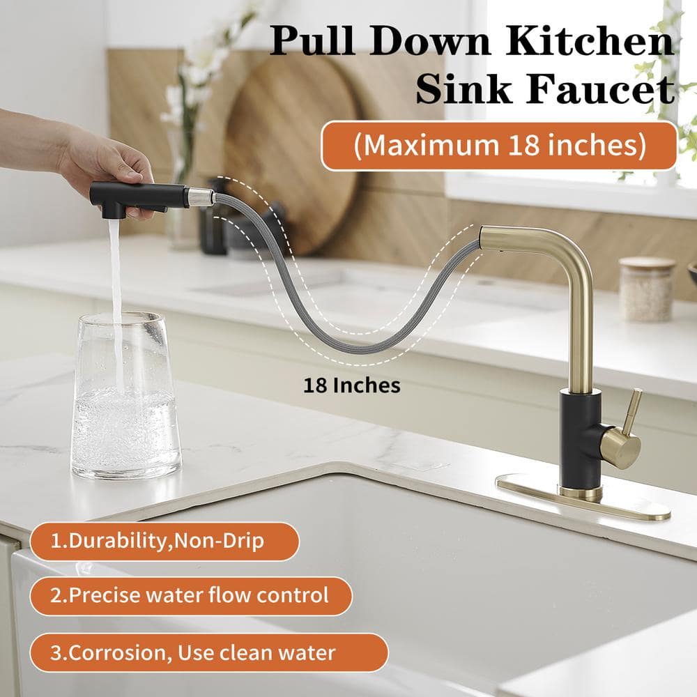 Matte Black and Brushed Gold Stainless Steel Pull-Out Kitchen Faucet