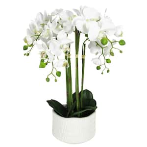 20 in. 6-Stem Cream White Artificial Phalaenopsis Orchid Flower Arrangement in Textured Ceramic Pot