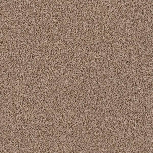 Home Decorators Collection Carpet Sample - Kalamazoo II - Color Windham Texture 8 in. x 8 in.