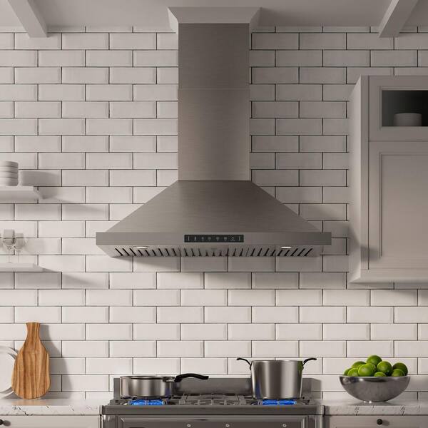 30 in. 900CFM Ducted Wall Mount with LED Light Range Hood in Stainless Steel