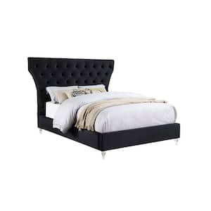 Bellagio 89 in. W Black Tufted Velvet King Platform Bed with Acrylic Legs