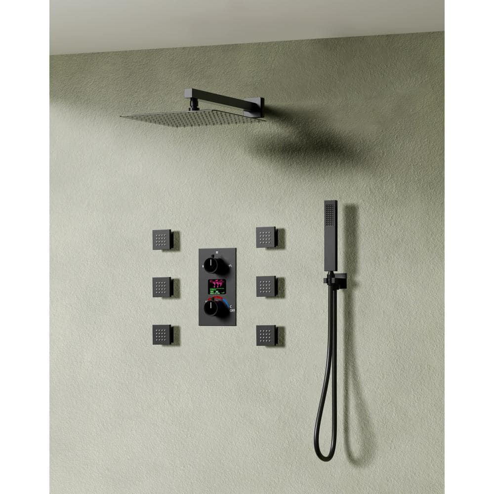 Everstein Lcd Temp Time Display Spray In Black Wall Mount Shower