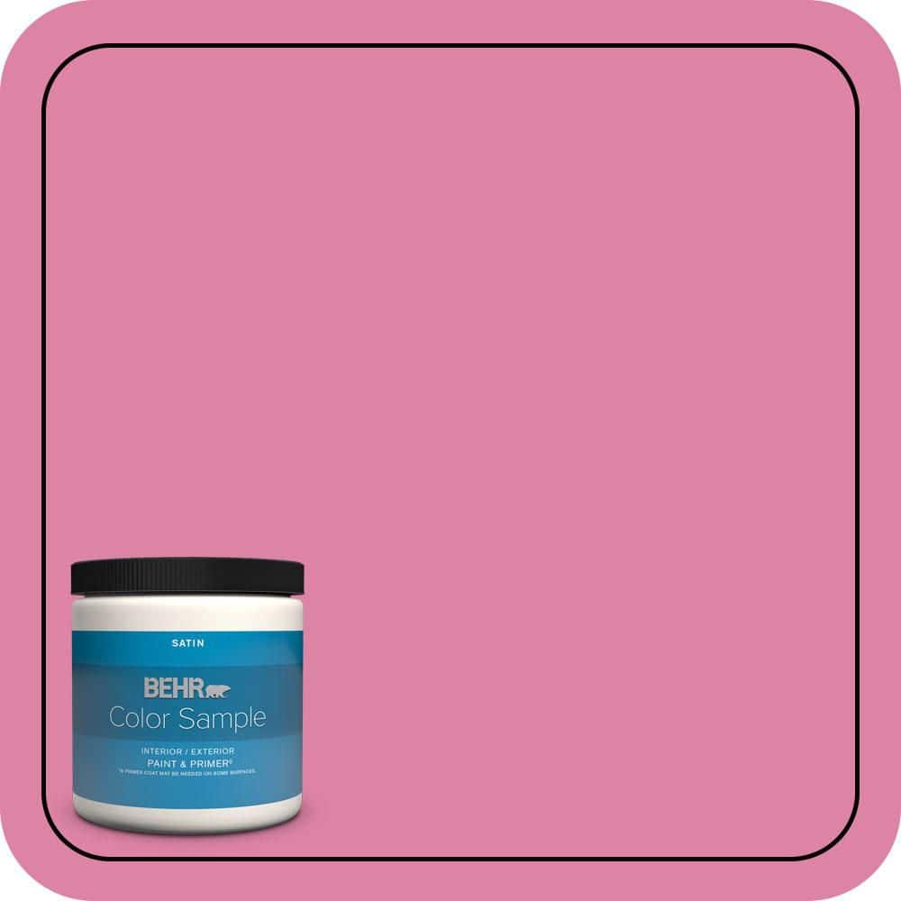 8 oz. Home Decorators Collection #HDC-MD-10A Sweet Chrysanthemum Satin Enamel Int./Ext. Paint & Primer Color Sample price history on PriceWatchPro