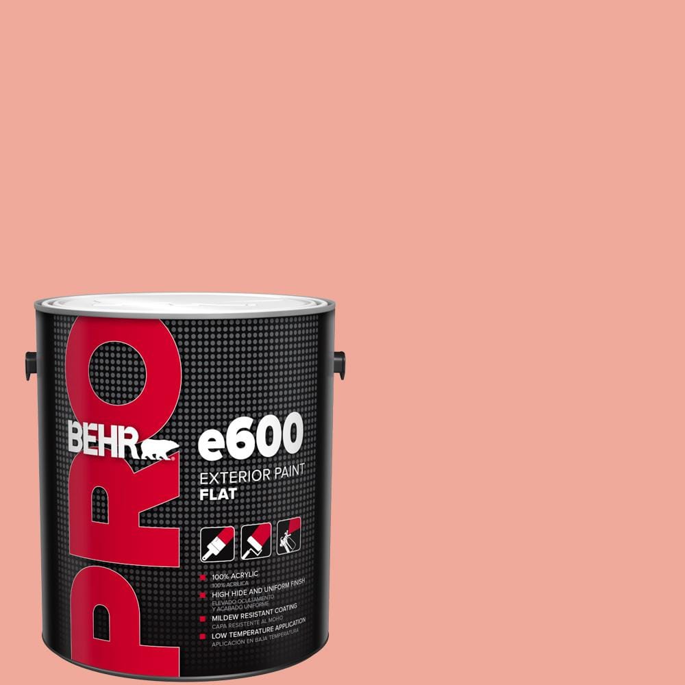 1 gal. #200D-4 Powdered Petals Flat Exterior Paint price history on PriceWatchPro