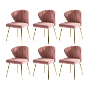 Olinto Pink Side Chair with Metal Legs Set of 6