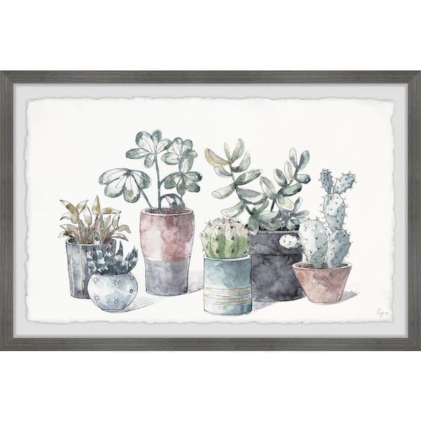 Unbranded "Succulent in Display Planters" by Parvez Taj Framed Nature Art Print 8 in. x 12 in.