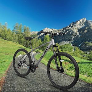 27 in. Gray Aluminium 21-Speed Mountain Bike with Suspension Fork for Adult