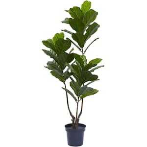 65 in. Artificial UV Resistant Indoor/Outdoor Fiddle Leaf Tree
